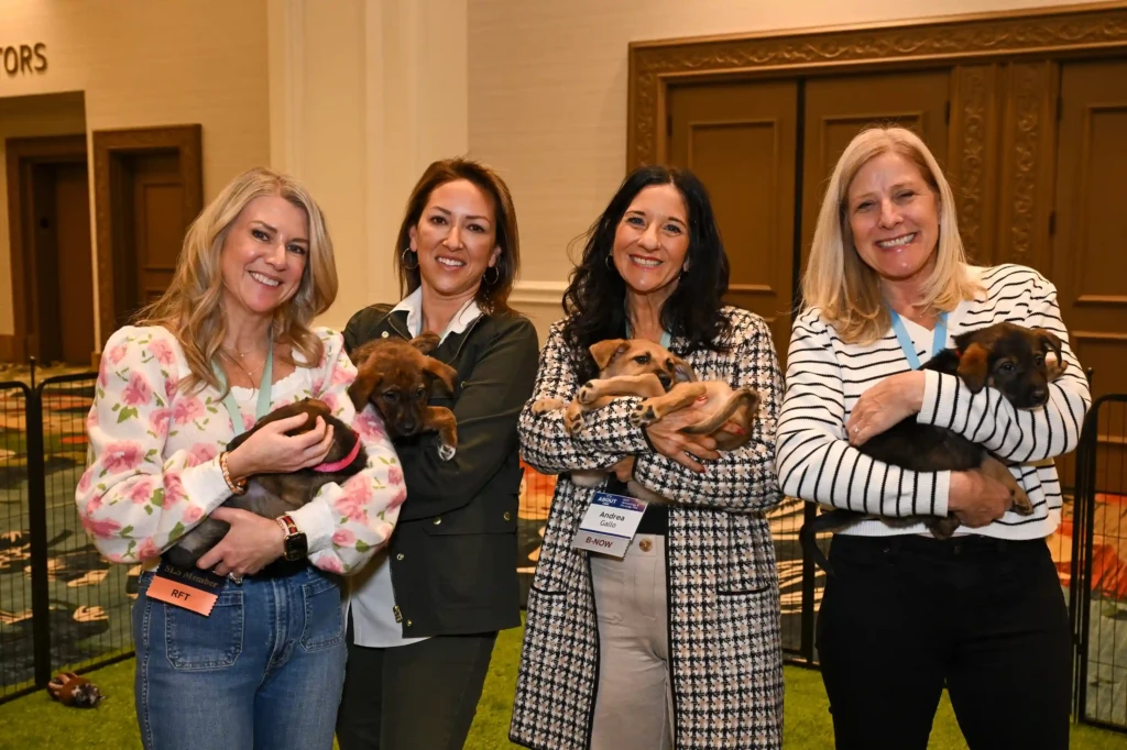 The Benefits of Wellness Activities at Conferences by Crow Practice